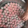 Bolinhas de carne Chaozhou feitas na hora 1,0 kg, bolinhas de tendão de boi autênticas batidas à mão, bolinhas de carne especialidade de Shantou, ingredientes para hot pot