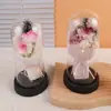 Ramo de Pulgar de Rosa y Clavel Regalo del Día de la Madre Exquisita Cúpula de Cristal Flor de Jabón de Confesión Flor Eterna Regalo