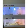 Caixa Térmica para Papagaios, Caixa de Criação para Répteis, Codornas, Geckos, Lagartos, Caranguejos Eremitas, Ouriços e Outros