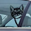 Br818 Totalmente Transparentes UV Gatito Lindo Pegatinas de Vidrio Doble Cara Visual Ventana de Coche Tienda de Mascotas Puertas y Ventanas Pegatinas de Decoración para el Hogar