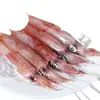 Calamares Pequeños Recién Hervidos, Mariscos Tubo de Pluma Frescos Congelados, Calamares Grandes Enteros, Productos Acuáticos de Calamares Pequeños