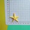 Acessórios de Resina com Concha de Estrela Sapatos com Furo Grampo de Cabelo Acessórios de Cabelo Bolsa Brinquedos Material DIY Fabricante Atacado