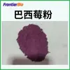 Pó de Açaí Pó de Fruta de Açaí 98% Pó de Suco de Açaí 500g/Saco Frete Internacional