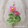 Plantas Artificiales de Loto y Nenúfar en Maceta para Estanque, Decoración de Acuario, Accesorios para Escenario y Eventos, Adornos de Hojas de Loto, Flores Falsas