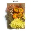 Bolsa de Materiales DIY Flor Seca Inmortal Tuanjian Marco de Fotos Pintura Tarjeta de Felicitación Tuanfan Ramo Pequeño Hecho a Mano Flor Real Bolsa de Flores en Relieve