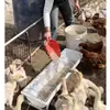 Alimentador automático para patos y gansos para cría de pollos bebedero comedero para patos comedero de polipropileno grueso comedero para aves de corral bebedero