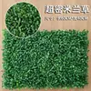 Parede de Plantas Simuladas Parede de Plantas Verdes Gramado Falso de Plástico Parede de Fundo Cabeça de Porta de Eucalipto Loja Interna Parede de Flores Decoração