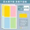 Pegatinas de Etiquetas de Colores Autoadhesivas Listas para Usar Pegatinas de Etiquetas para Escribir a Mano en Blanco Pegatinas Impermeables para Clasificación de Cocina y Cosméticos Adhesivo de Secado Lento