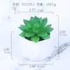 Mini simulación de flores carnosas en macetas, creativas, para bricolaje, para interiores, pequeñas decoraciones, flores de plástico, suministro de fabricantes ES1155-1