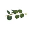 Planta Verde Artificial Plástico Multiestilo Hojas de Eucalipto Hecho a Mano Flor Ramo Accesorios Hogar Balcón Sala de Estar Material de Planta en Maceta