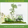 [Série dos 24 Termos Solares] Paisagismo de Jardim de Plantas Simuladas Florais Pátio Interno Decoração Grande e Macia Hotel