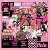 Sanrio Stilwell Giuka Wow Crayon Little New Kulomi Jade Poodle KT Cat melody Miedo a Comprar Pegatinas