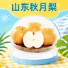 Pera Qiuyue de Laiyang, Shandong, envío directo 3/5/9/ 3 kg piezas, redonda, jugosa, crujiente y dulce, en una colorida caja de regalo, fruta fresca