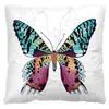 Funda de almohada de felpa corta de mariposa para el hogar transfronteriza, funda de almohada con estampado digital de gráfico de dibujos animados, cojín de almohada
