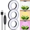 Luz Led para Crecimiento de Plantas, Soporte para Flores, Pared Verde de Plantas, Flores Suculentas en Maceta, Lámpara de Iluminación Suplementaria para Plantas de Techo de Espectro Completo Fábrica