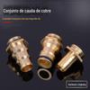 Fornecimento de fábrica pagode de cobre plugue direto mamilo pistola de água de alta pressão cauda ferramenta terno jardim