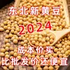 Soja de nueva cosecha, brotes de tofu puro de alta proteína del noreste de Heilongjiang, soja sin OGM para uso agrícola, soja especial para leche de soja