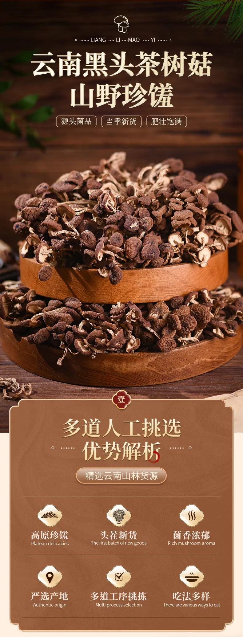 茶树菇_02
