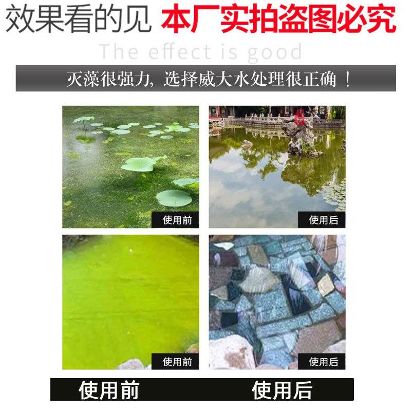 灭藻剂循环水剥离剂杀菌剂非氧化性杀菌灭藻剂