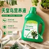 Solución Nutritiva Planta Ave del Paraíso Tipo General Fertilizante para Flores Flores Hidropónicas en Maceta Fertilizante para Plantas Verdes