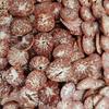 Fatias de Noz de Areca, Fatias de Noz de Areca Secas, Tempero de Noz de Areca, Tempero de Especiarias, Marinada, Coleção Completa de Especiarias, Marinada de Pimenta, Noz de Areca de Hainan