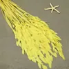 Flor mágica hierba de la pequeña esperanza eterna ramo flor real Natural Alto sentido ins estilo nórdico sala de estar decoración jarrón Flor eterna