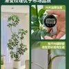 Pé de Pato Madeira Simulação Planta Verde Planta Falsa Alta Qualidade Sala de Estar Planta em Vaso Interior Grande Bonsai Biônico Hotel Decoração de Chão