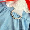 Ropa para mascotas de primavera y verano encaje vestido de princesa de mezclilla oso perro pequeño falda para perro venta al por mayor transfronteriza ropa para gatos