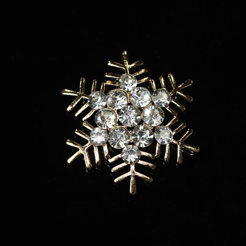 IMG_1411
