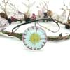 Daisy Time Joyería de Vidrio con Piedras Preciosas Flor Real Planta Collar Colgante Estilo Bosque de Crisantemos y Girasoles Secos 30m