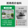 Macetas de Plástico Auto-Riego Amazon para Uso Doméstico, No Necesitan Riego, Macetas Colgantes para Flores, Macetas de Resina para Plantas Verdes
