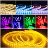 Fita de LED Personalizada Fita de LED Silicone 24V Baixa Tensão Exterior À Prova d'Água Ultra Brilhante Piscina Tanque de Peixes Iluminação de Paisagem