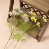 Estilo Pastoral 5 Cabezas Hierba Negra Flor Artificial Tela de Seda Planta Verde Accesorio Decorativo Fotografía Mesa Arreglo Estilo Nórdico