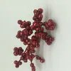 Lentejuelas Jiuhong espuma polvo dorado fruta trigémina corazón de bebé estrella adornos navideños accesorios simulación pequeña fruta roja diseño de fabricantes