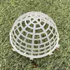 Cubierta para Plantar Helecho de Astas, Cubierta Fija para Orquídea Mariposa, Bola Flotante para Plantas Acuáticas, Garra de Mono Asiática, Ciervo Plateado No Redondo, Qué Hermoso es el Dendrobium