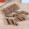 Paquete de 20 piezas Anti-moho Anti-gusanos Pinzas para tendedero Carbonizadas de Alta Calidad Pinzas a Prueba de Viento para Secar Ropa Calcetines