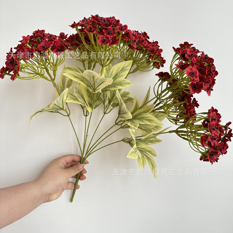 微信图片_202305101709199_副本