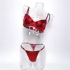 Lingerie Transfronteiriça Novo Sutiã Francês de Cetim Lingerie Sexy Mostrando Seios Grandes Pequeno Push-Up Conjunto de Sutiãs Sexy