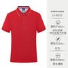 Camisa polo con solapa, manga corta, mono, estampado de logotipo, camiseta cultural, bordado, grupo empresarial de herramientas.