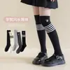 Nuevos Calcetines Largos Bordados de Cachorro Lindo Estilo Coreano para Niños, Calcetines Casuales Versátiles Estilo Universitario de Media Pantorrilla al por Mayor