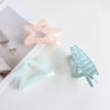 Grande Clipe de Garra de Acrílico Clipe de Tubarão Fosco Simples Hairpin High-end Headwear Quantidade de Cabelo Multi-hairpin Acessórios de Cabelo Atacado