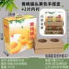 Maleta de Melocotón Amarillo en Lata Caja Verde Estilo Maleta, Embalaje de Cartón para Fruta de Melocotón Amarillo en Lata, Caja de Lata de Botella Roja, Embalaje de Caja de Regalo