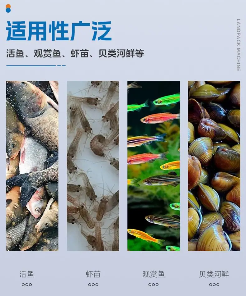 LD-520倾斜式+笋壳鱼+英姐_03.jpg