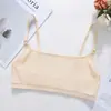 Sujetador deportivo inalámbrico de malla sexy para mujer Dashi cómodo ligero transpirable para deportes yoga sin copas sujetador deportivo
