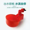 Bebedero Automático para Aves Máquina Automática de Bebida para Pollos Taza para Beber Pollos Dispensador de Agua Potable para Pollos Dispensador Automático de Agua Potable para Pollos