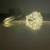 Cadena de luces LED solares con control remoto de Amazon 4V ambiente festivo decorativa exterior impermeable luces de cadena solares