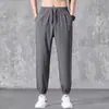 Pantalones rectos casuales para hombre, pantalones delgados de otoño, leggings modernos de estilo coreano, pantalones deportivos sueltos de seda helada, transfronterizos