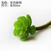 Planta pequeña verde creativa planta de simulación micro paisajismo flor de plástico hierba artificial planta de fondo suculenta material DIY