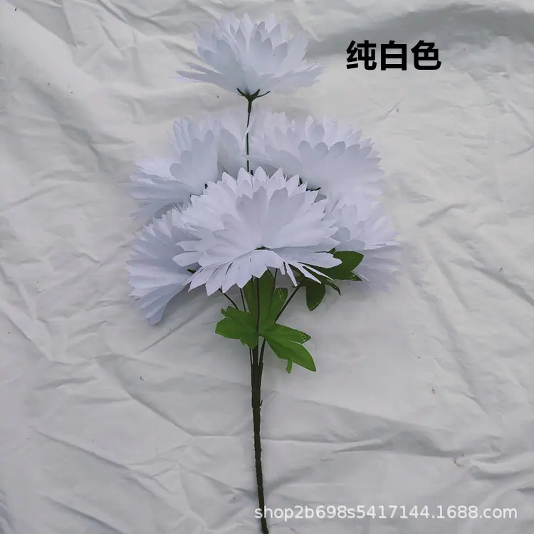 IMG20220427165609_副本.jpg