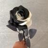Rosa artificial Dia dos Namorados plástico Juanhua buquê casamento flor falsa sala de estar decoração de mesa rosa flor artificial